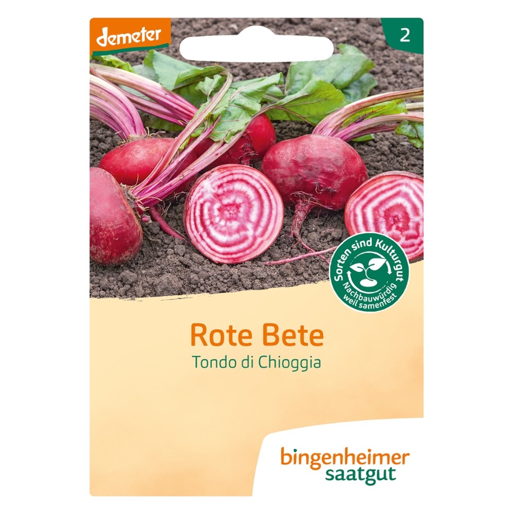 Rote Bete Tondo di Chioggia // Bingenheimer Saatgut
