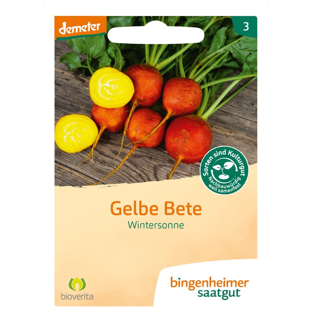 Rote Bete Wintersonne // Bingenheimer Saatgut