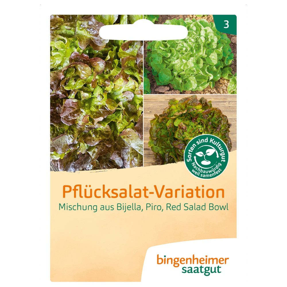 Pflücksalatmischung, Pflücksalat-Variation // Bingenheimer Saatgut