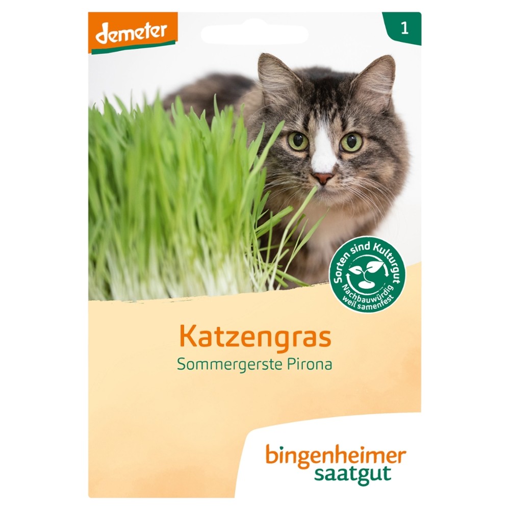 Katzengras // Bingenheimer Saatgut