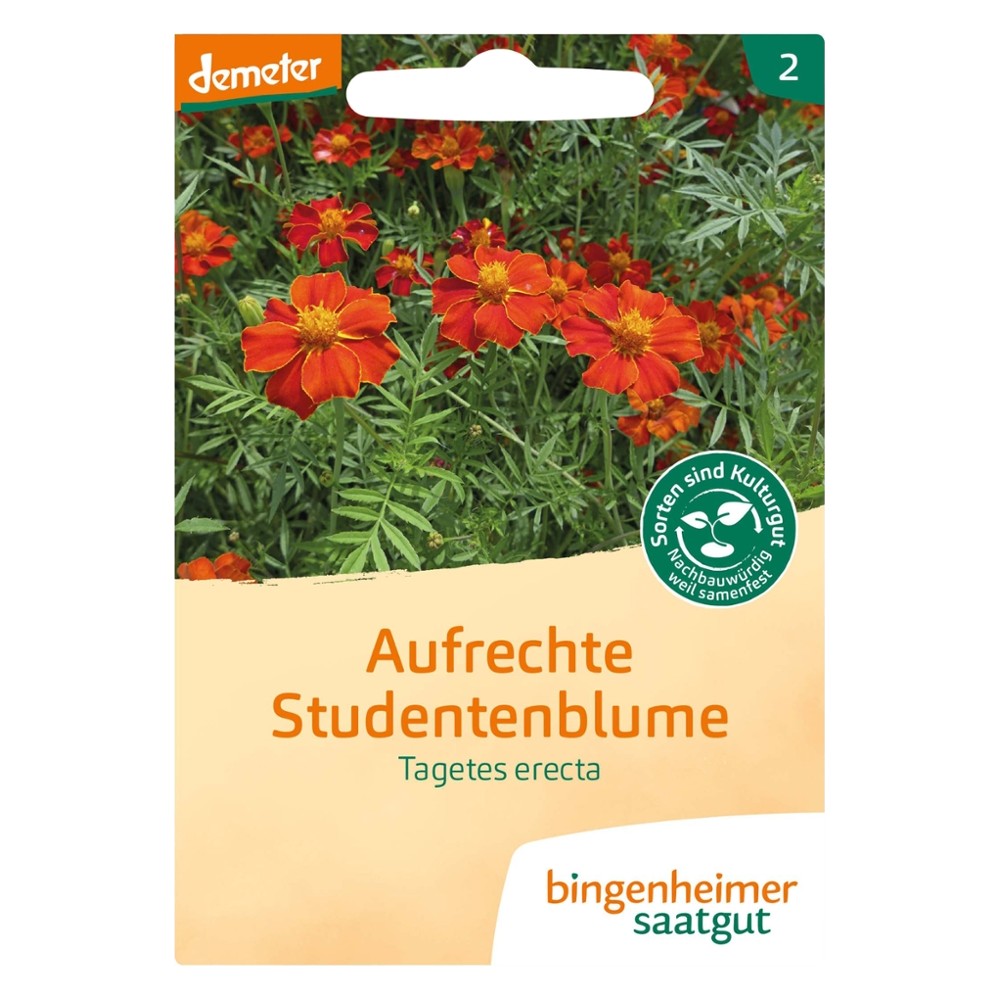 Studentenblume, aufrechte // Bingenheimer Saatgut