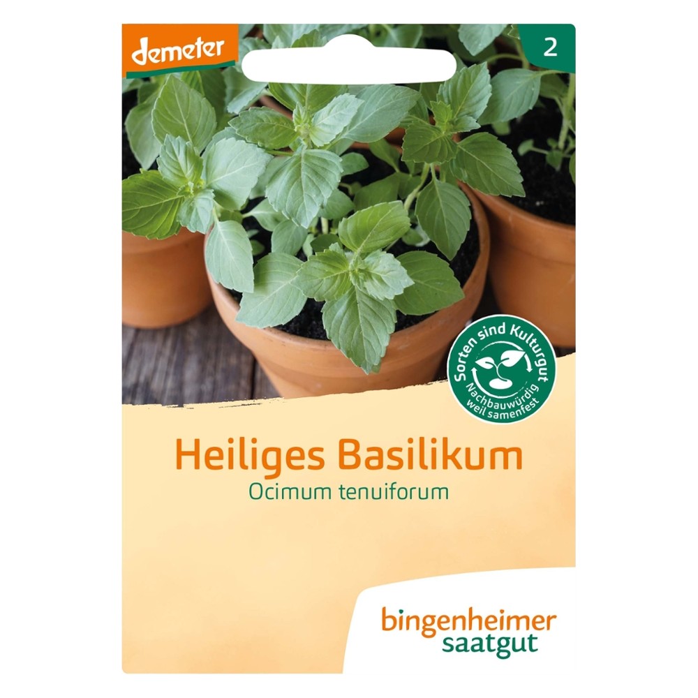 Heiliges Basilikum // Bingenheimer Saatgut