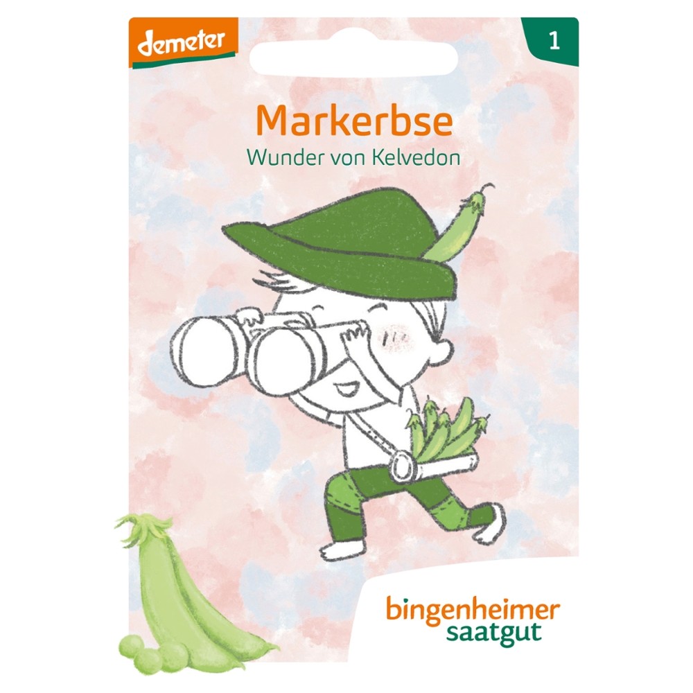 Garten-Bande - Markerbse Wunder von Kelvedon // Bingenheimer Saatgut