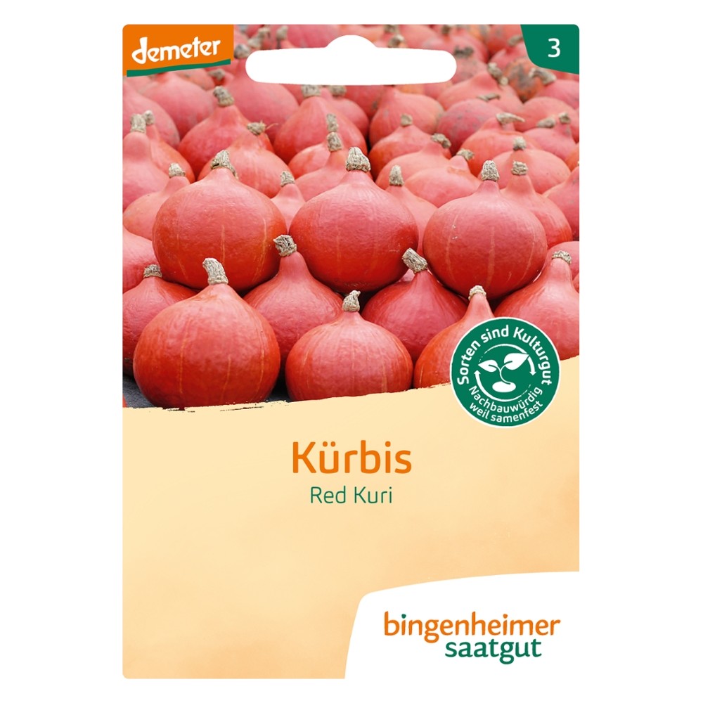 Kürbis Red Kuri // Bingenheimer Saatgut