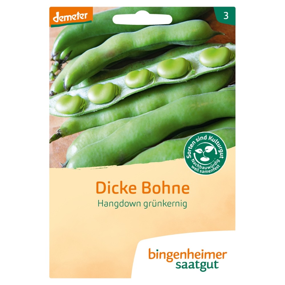 Dicke Bohne Hangdown // Bingenheimer Saatgut