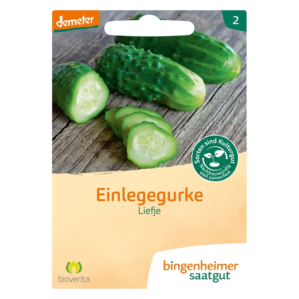 Einlegegurke Liefje // Bingenheimer Saatgut
