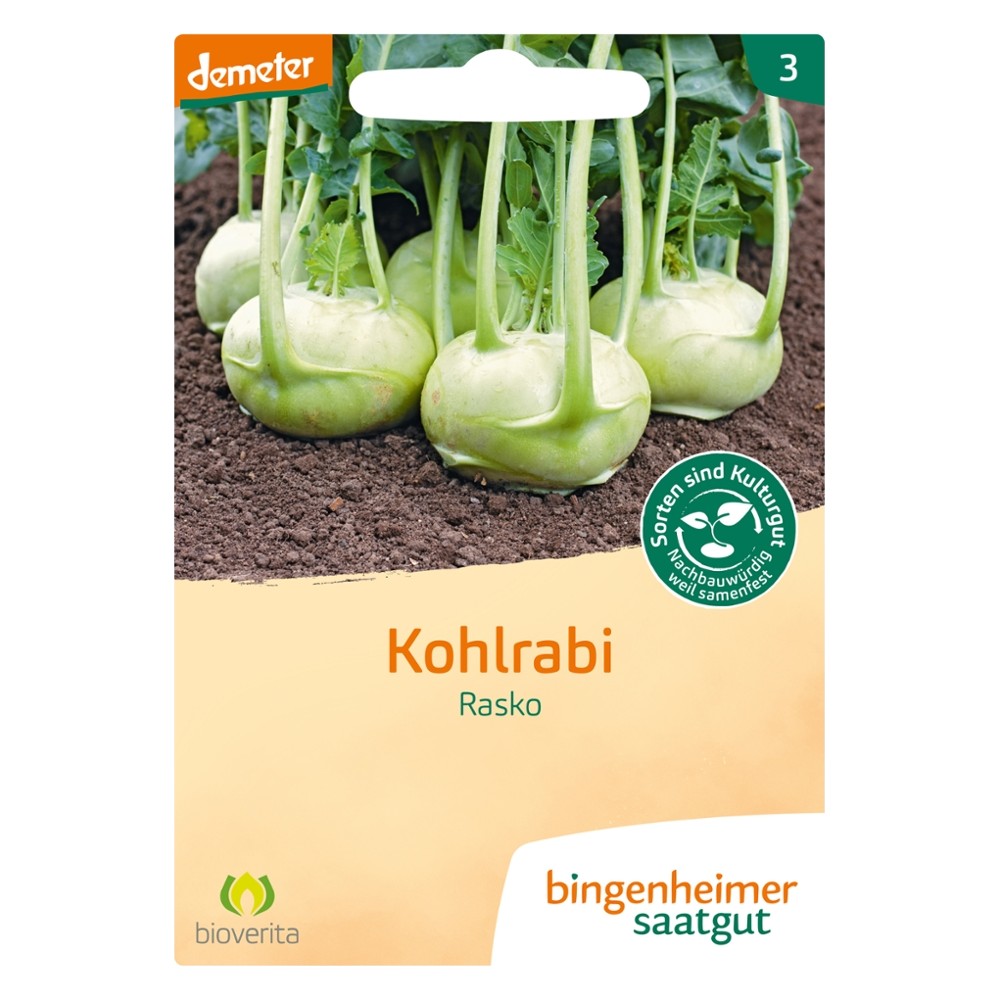 Kohlrabi Rasko // Bingenheimer Saatgut
