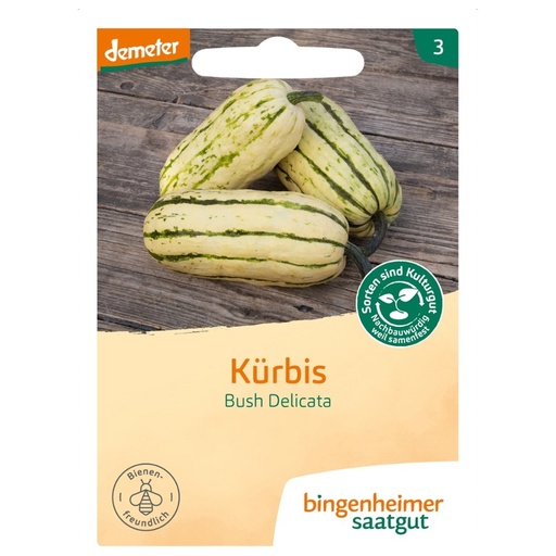 [ex521702] Kürbis Bush Delicata // Bingenheimer Saatgut