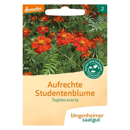 [521734] Studentenblume, aufrechte // Bingenheimer Saatgut
