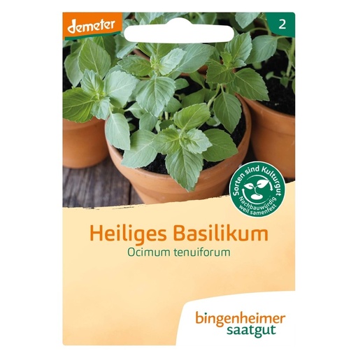 [521728] Heiliges Basilikum // Bingenheimer Saatgut